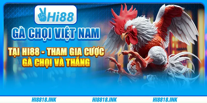 Gà Chọi Việt Nam Tại Hi88 - Tham Gia Cược Gà Chọi Và Thắng