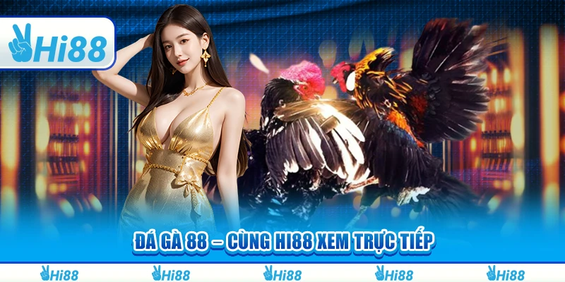 Đá Gà 88 – Cùng Hi88 Xem Trực Tiếp Và Cá Cược Nhanh Chóng