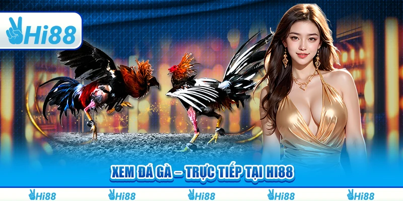 Xem Đá Gà Trực Tuyến Tại Hi88 và Tham Gia Cá Cược Luôn Thắng