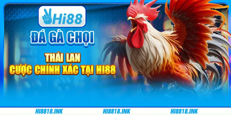 Đá Gà Chọi Thái Lan - Cược Chính Xác Tại Nhà Cái Hi88