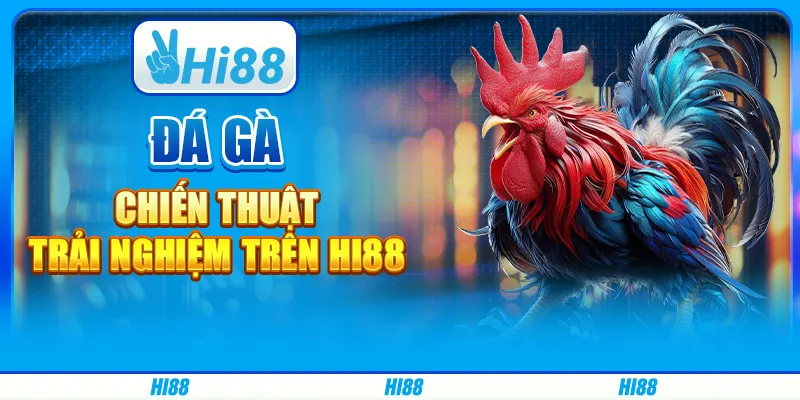 Cược Đá Gà Chiến Thuật - Trải Nghiệm Trên Nền Tảng Hi88