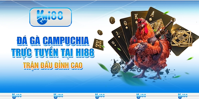 Đá Gà Campuchia Trực Tuyến Tại Hi88 – Trận Đấu Đỉnh Cao